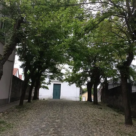 Cih - Constituição Invicta * Porto